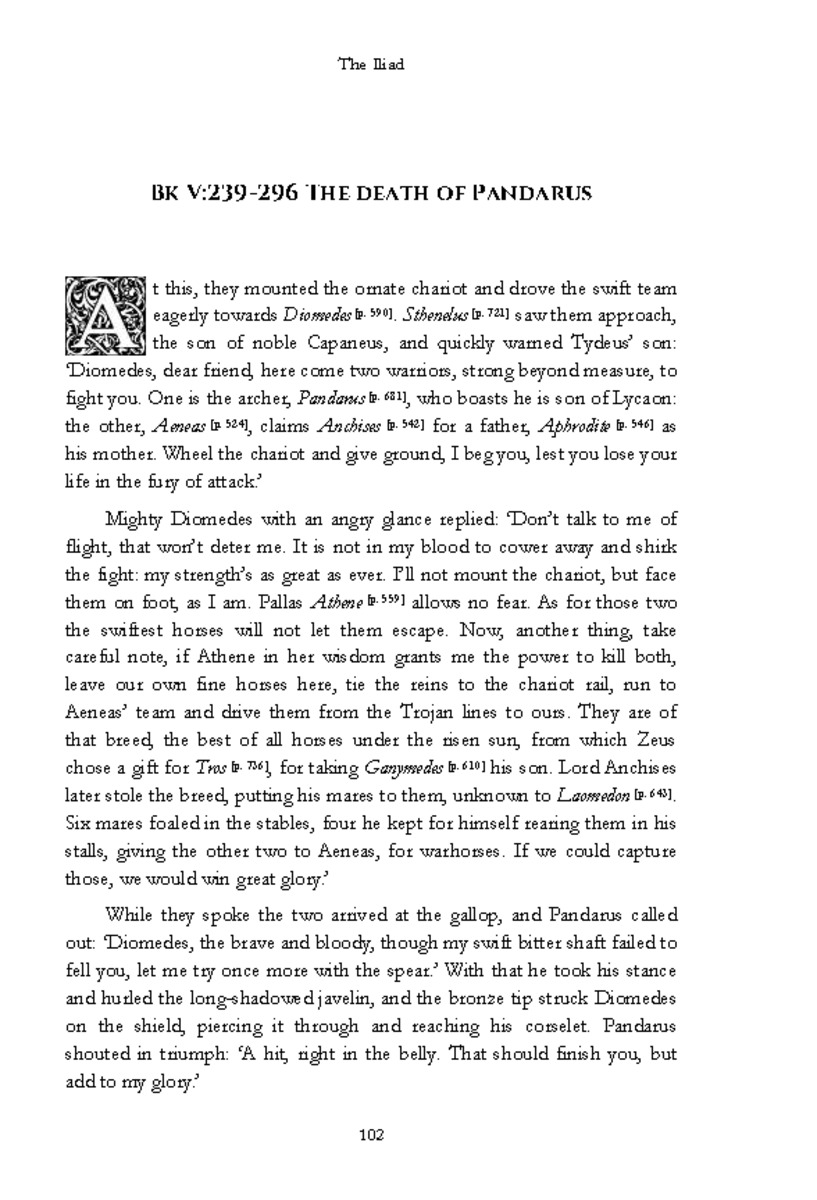 The Iliad - Page 96